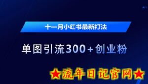 十一月小红书最新打法,单图引流300+创业粉-流年日记