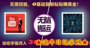 无需经验,0基础复制粘贴赚美刀,动动手指,月入3000+刀,无上限-流年日记