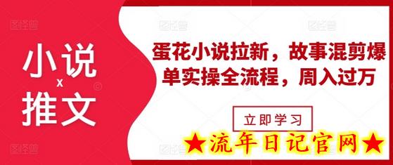 小说推文之蛋花小说拉新，故事混剪爆单实操全流程，周入过万-流年日记