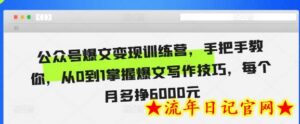 公众号爆文变现训练营,手把手教你,从0到1掌握爆文写作技巧,每个月多挣6000元-流年日记