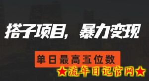 2024搭子玩法,0门槛,暴力变现,单日最高破四位数-流年日记