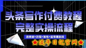 今日头条写作付费私密教程,轻松日入3位数,完整实操流程-流年日记