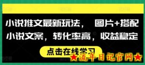 小说推文最新玩法， 图片+搭配小说文案，转化率高，收益稳定-流年日记