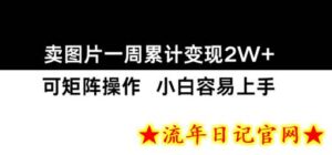 小红书【卖图片】一周累计变现2W+小白易上手-流年日记