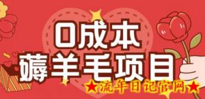 0成本,薅羊毛玩法一分钱不花一部手机即可操作单机1个小时30+-流年日记