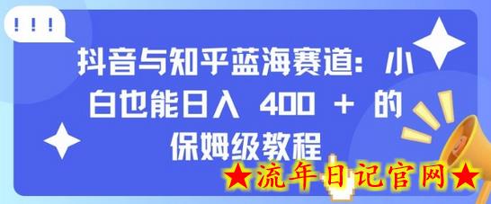 抖音与知乎蓝海赛道：小白也能日入 4张 的保姆级教程-流年日记