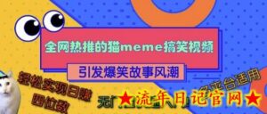 全网热推的猫咪搞笑视频,引发爆笑故事风潮,多平台适用,轻松实现日入四位数,无门槛快速入门!-流年日记