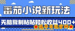 番茄小说新玩法,借助AI推书,无脑复制粘贴,每天10分钟,新手小白轻松收益4张-流年日记