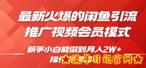 闲鱼引流推广影视会员，0成本就可以操作，新手小白月入过W+-流年日记