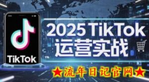 2025TikTok电商运营，掌握TikTok店铺运营核心技巧，实现低成本高转化-流年日记