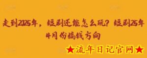走到2025年,短剧还能怎么玩?短剧25年4月份搞钱方向-流年日记