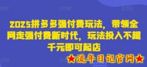 2025拼多多强付费玩法,带领全网走强付费新时代,玩法投入不超千元即可起店-流年日记