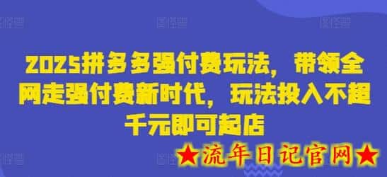 2025拼多多强付费玩法，带领全网走强付费新时代，玩法投入不超千元即可起店-流年日记
