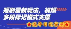 短剧最新玩法,视频多段标记模式实操-流年日记