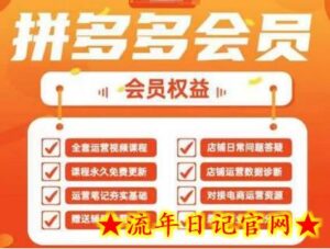 2025拼多多运营实战课，40节全流程教学，覆盖拼多多运营全链路-流年日记