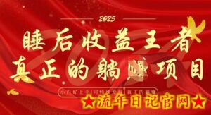 全网首发,面试辅导项目,每月被动收益,自己做老板,全流程AI化,轻松月入过W+-流年日记