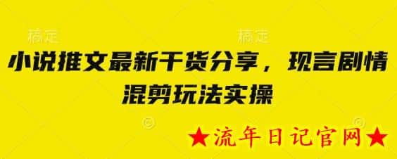 小说推文最新干货分享，现言剧情混剪玩法实操-流年日记