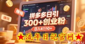 拼多多创业引流项目,每天吸引200+付费创业粉,实现日入多张+稳定收益-流年日记