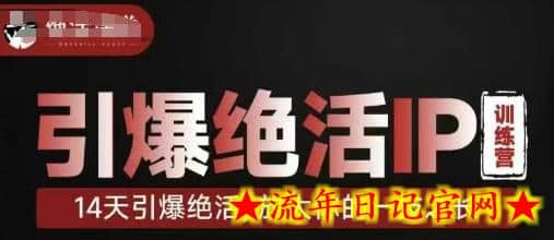 引爆绝活IP训练营，14天引爆绝活，放大你的一技之长-流年日记