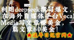 出海搞钱!利用deepseek撰写爆文,在海外自媒体平台Vocal Media写文章挣美金,一篇文章60刀-流年日记