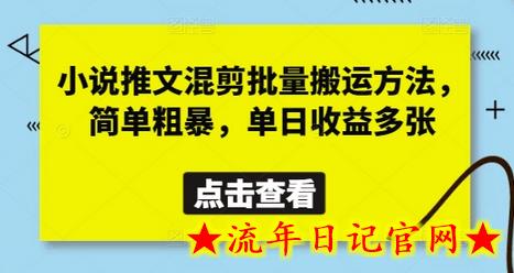 小说推文混剪批量搬运方法，简单粗暴，单日收益多张-流年日记