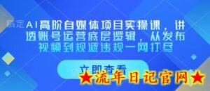 AI高阶自媒体项目实操课，讲透账号运营底层逻辑，从发布视频到规避违规一网打尽-流年日记