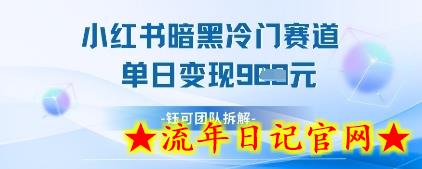小红书冷门”暗黑”赛道，单日收益多张-流年日记