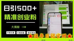不需要我们去想文案,也不需要我们去剪辑视频,日引500+精准创业粉,方法大揭秘-流年日记