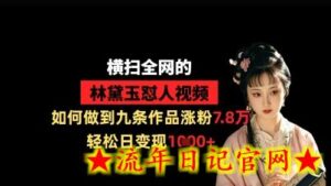 横扫全网的林黛玉怼人视频,如何做到九条作品涨粉7.8万,轻松日变现1k-流年日记