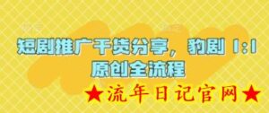 短剧推广干货分享，豹剧 1:1原创全流程-流年日记