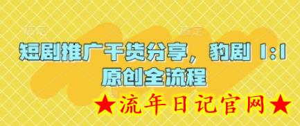 短剧推广干货分享，豹剧 1:1原创全流程-流年日记