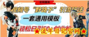 视频号“野路子”玩法,评论区疯狂截流,一套模板单日单号引流50+创业粉-流年日记