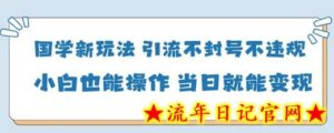 国学新玩法,引流不封号不违规小白也能操作,当日就能变现-流年日记