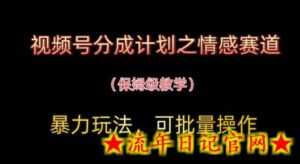 视频号分成计划之情感赛道暴力玩法,可批量操作,保姆级教学-流年日记
