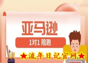 亚马逊1对1陪跑课(FBA/FBM精铺)跨境亚马逊教程-流年日记
