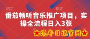 番茄畅听音乐推广项目,实操全流程日入3张-流年日记