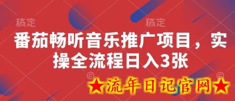 番茄畅听音乐推广项目，实操全流程日入3张-流年日记