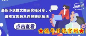 最新小说推文搬运实操分享,小说推文视频三连屏搬运玩法-流年日记