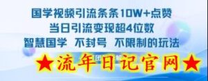 国学视频引流条条10W+点赞当日引流变现超4位数-流年日记