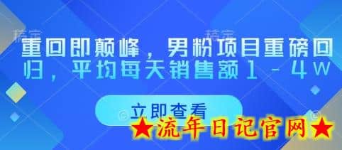 重回即颠峰，男粉项目重磅回归，平均每天销售额1-4W-流年日记