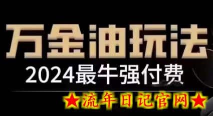 2024最牛强付费，万金油强付费玩法，干货满满，全程实操起飞（更新25年04月）-流年日记