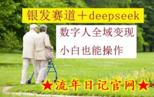 银发赛道+deepseek数字人全域变现,小白也能操作-流年日记