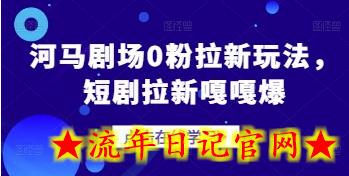 河马剧场0粉拉新玩法，短剧拉新嘎嘎爆-流年日记