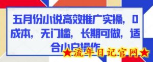 五月份小说高效推广实操，0成本，无门槛，长期可做，适合小白操作-流年日记