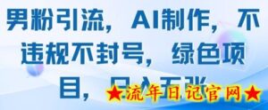男粉引流,AI制作,不违规不封号,绿色项目,日入五张-流年日记
