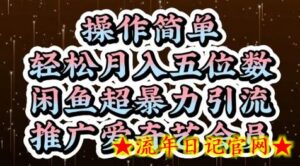 闲鱼超暴力引流推广爱奇艺会员,操作简单,轻松月入5位数-流年日记