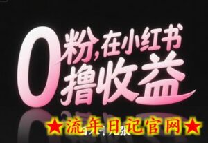 0粉在小红书撸收益,日入几张-流年日记