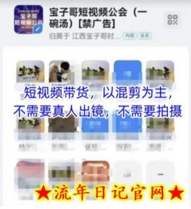 宝子哥头部团队短视频带货,以混剪为主,不需要真人出镜,不需要拍摄-流年日记