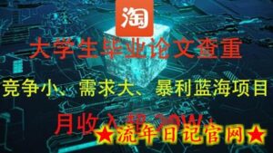 大学生毕业论文查重,暴利蓝海项目,月收入过1W+-流年日记