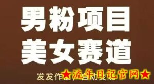 男粉项目美女赛道,发发作品,轻松获流自动变现-流年日记